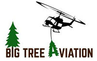 Big Tree Aviation LLC