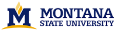 Montana State University