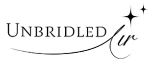 Unbridled Air LLC
