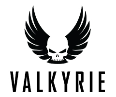 VALKYRIE AERO, LLC
