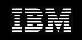 IBM Flight Operations