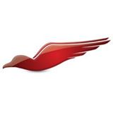 Redbird Flight Simulations